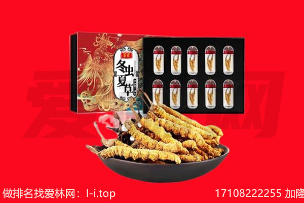 高邮市回收虫草.jpg